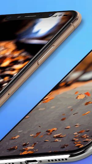 Autumn Wallpapers Backgrounds Screenshot 3