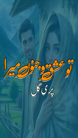 Tu Ishq O Junoon Mera  Novel Screenshot 0