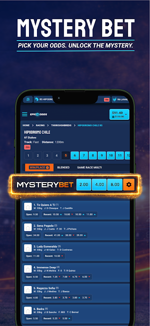 EpicOdds Screenshot 2