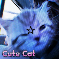 Sweet Cat