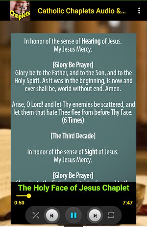 Catholic Chaplet Prayers Audio Screenshot 3