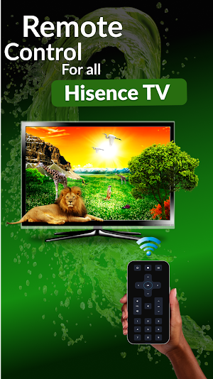 Remote for Hisense TV Screenshot 0