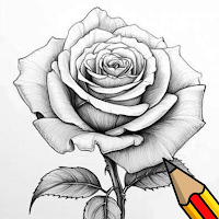 How To Draw Flowers by Step