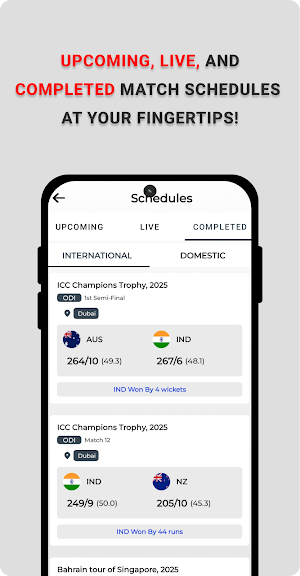 Live Cricket Score Screenshot 3