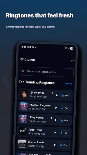 Marimba Remix Ringtones Screenshot 0