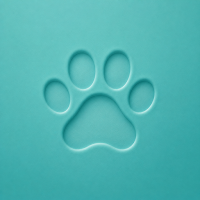 Pet Feeding Reminder