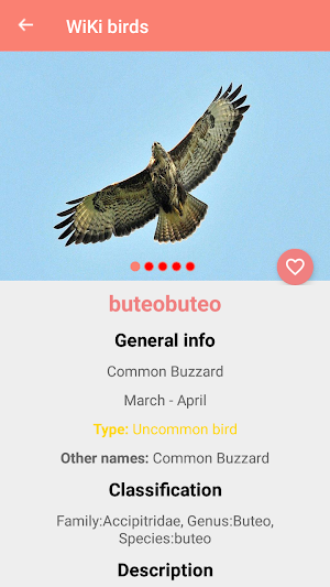 Bird Identification Screenshot 3