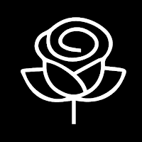 Rosy Video Editor