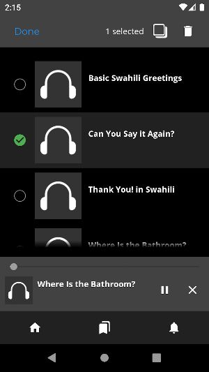 Fast - Learn Swahili Language Screenshot 2