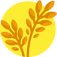 MindRice