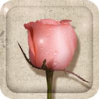 Rose And Poetry Live Wallpaper