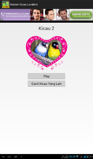 Master Kicau Lovebird Screenshot 1