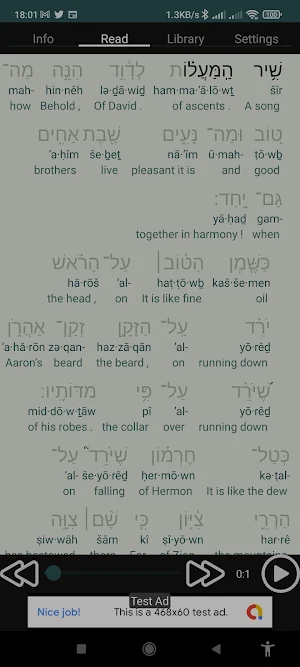 Literary Rendition Screenshot 3