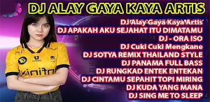 DJ ALAY GAYA KAYA ARTIS VIRAL Screenshot 0
