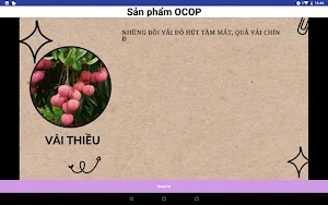 ĐỊA CHÍ ĐÔNG TRIỀU Screenshot 1