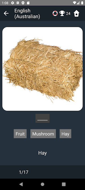 Australian English Tests Screenshot 3