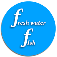 Freshwater Fish compatibility
