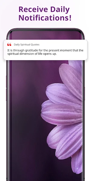 Spiritual Quotes - Daily Screenshot 1