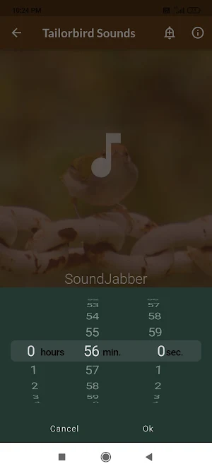 Tailorbird Sounds Screenshot 3