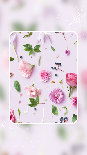 Cute Wallpaper HD Screenshot 2