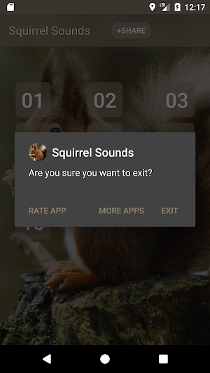 Squirrel Sounds Screenshot 2