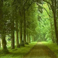 مناظر طبيعية