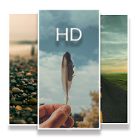 WallyHub Pro