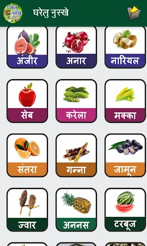 Gharelu Nuskhe in Hindi Screenshot 2