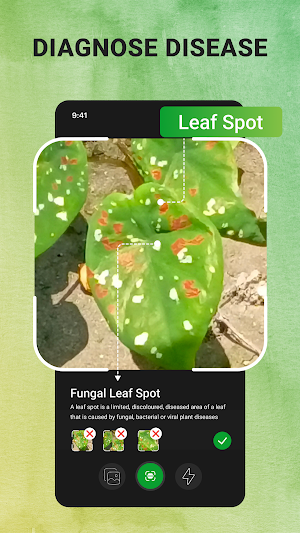Plant Identifier - Plant Care Screenshot 1