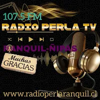 Radio Perla TV