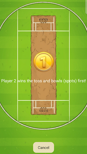 Street Cricket: Road Trip Game Screenshot 1
