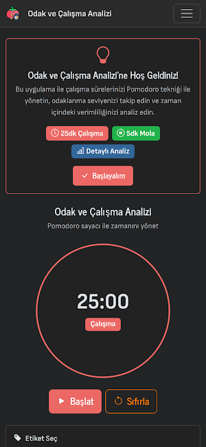 Odak & Çalışma Analizi Screenshot 0