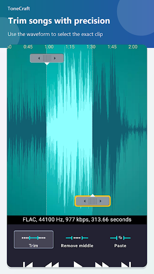 ToneCraft: Audio Editor Screenshot 1