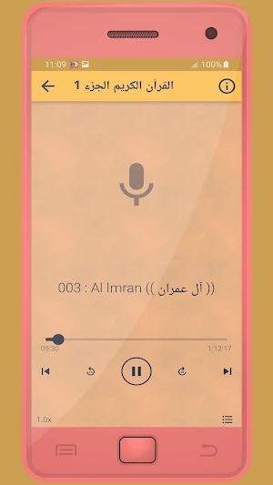 okasha kameny Holy Quran Screenshot 1