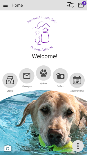 Pantano Animal Clinic Screenshot 0