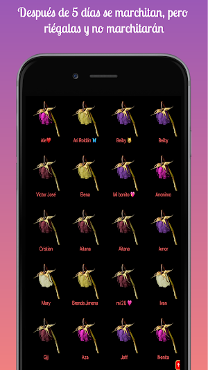 Rosa Virtual Screenshot 3