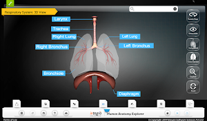 Human Anatomy Explorer Screenshot 1