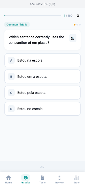Portuguese Grammar Practice Screenshot 1