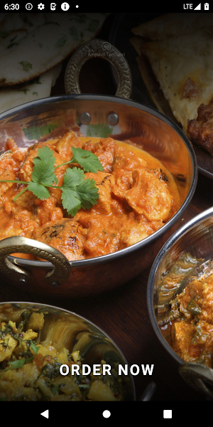 Ampthill Tandoori Screenshot 0