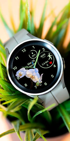Amoled Flowers Watch face Screenshot 3