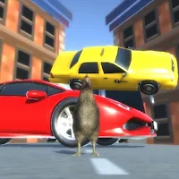 Chicken out of road
