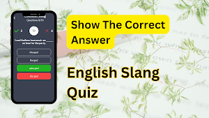 English Slang Quiz Screenshot 3