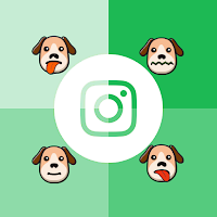 Pet Mood Detector: AI Analysis