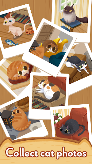 Cozy Cats Screenshot 3