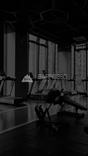 BARR5280 Screenshot 0