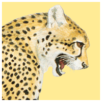 Kingdon Guide: African Mammals