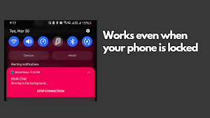 BlinkPillion - Intercom for Motorcycles Screenshot 2