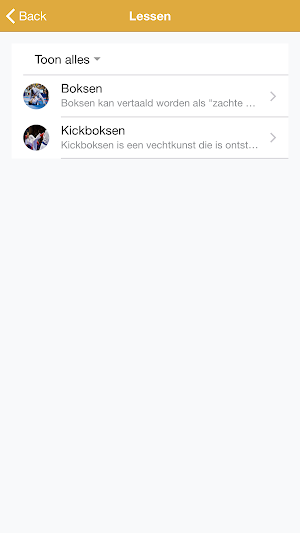 Boks Heemstede Authentic Gym Screenshot 1
