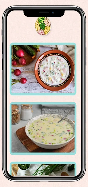 Okroshka Recipes Screenshot 3