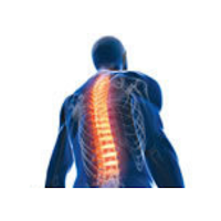 Turramurra Physio